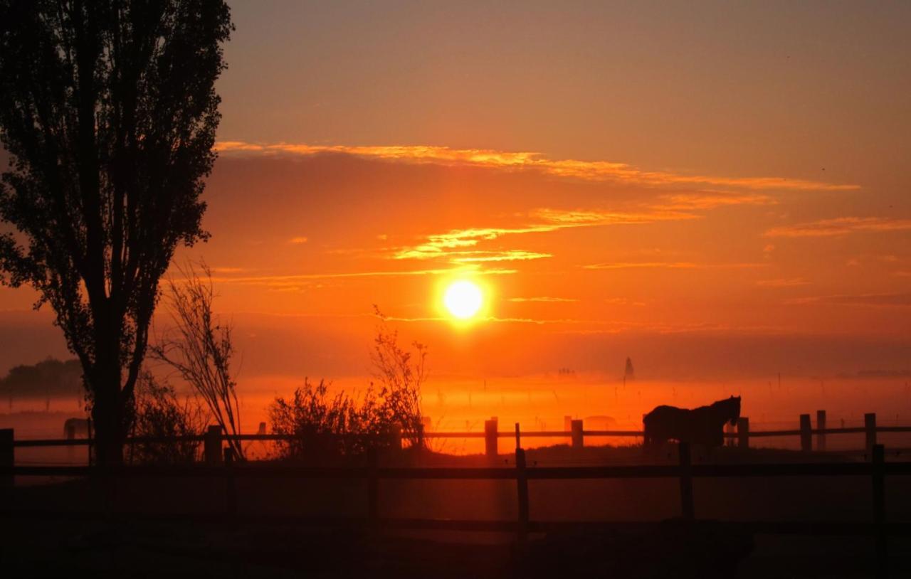 Gastenverblijf 'T Landsheertje Veurne Esterno foto