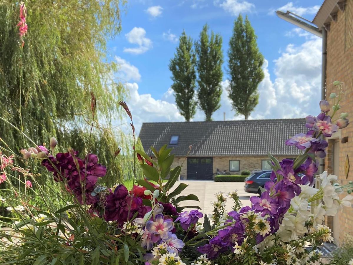 Gastenverblijf 'T Landsheertje Veurne Esterno foto