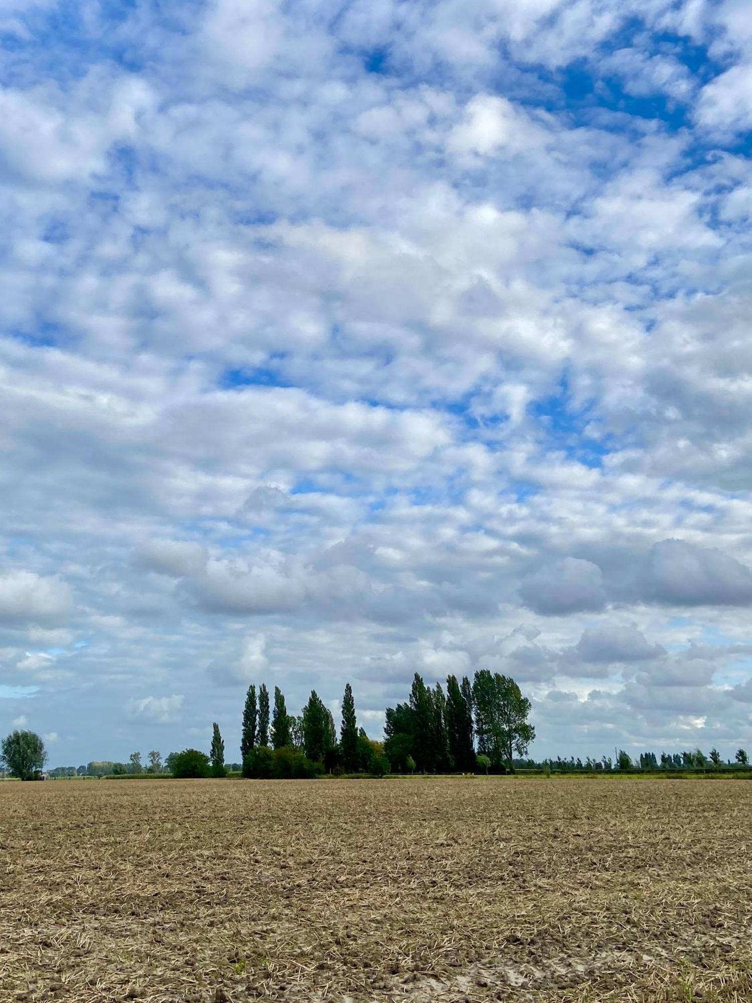 Gastenverblijf 'T Landsheertje Veurne Esterno foto